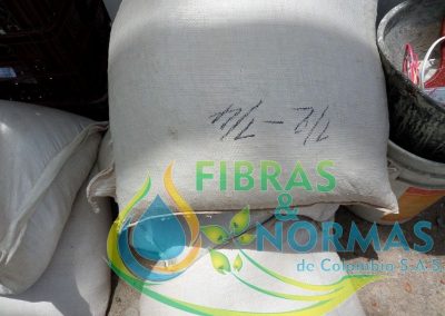 Imagen del contenido