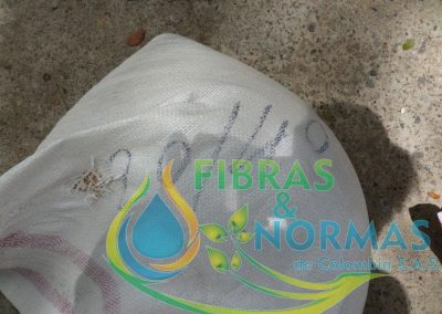 Imagen del contenido