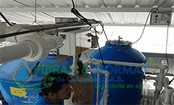 Imagen del contenido